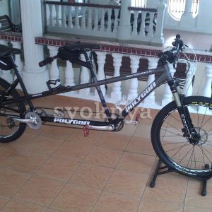 polygon impression ax tandem