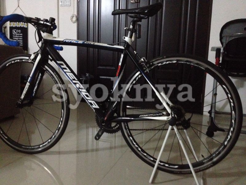 merida race lite 905 price